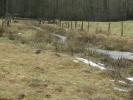 Ruisseaux de Longvilly (3)
